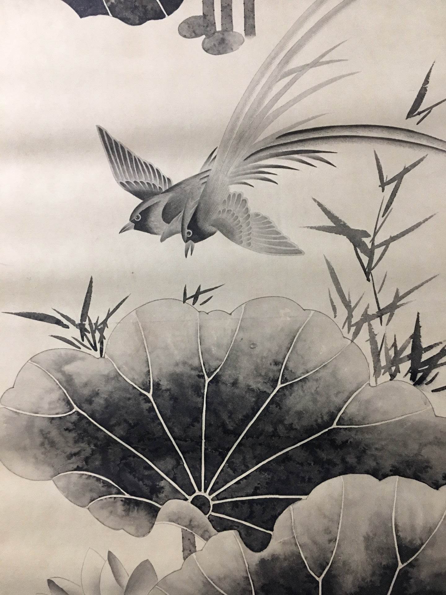 胡公壽四條屏花鳥畫 - 九州墨閣