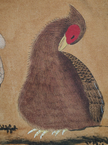 趙昌中堂花鳥畫